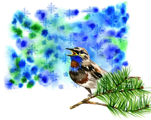 Ilustración de pájaro azul lindo en el pino de rama —  Fotos de Stock