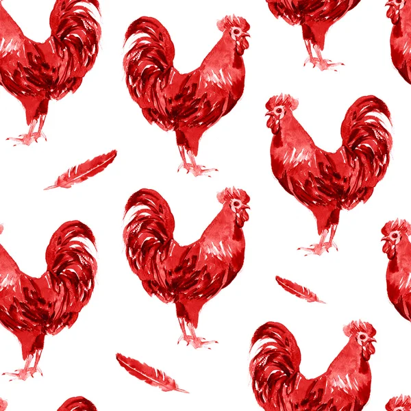 Gallo acquerello illustrazione isolato — Foto Stock