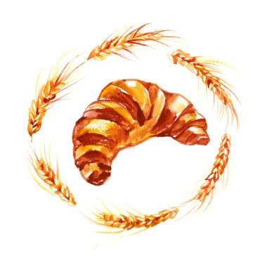 kruvasan - illüstrasyon pişirme sulu boya.