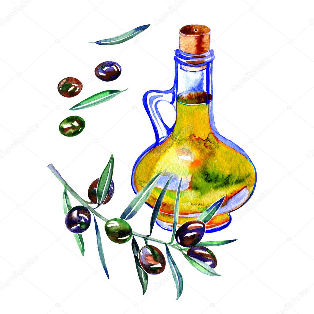 Olive bottle illustration. Hand drawn watercolor painting