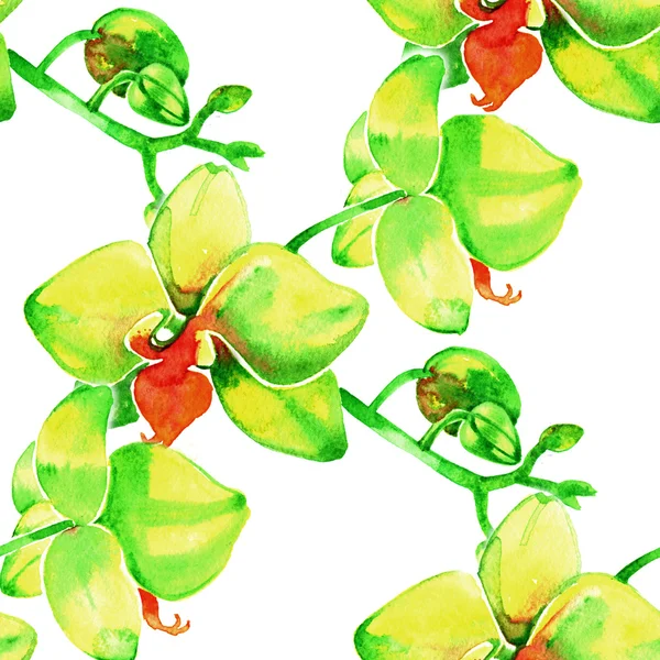 Geel orchideeën. Aquarel naadloze patroon met tropische bloemen. — Stockfoto