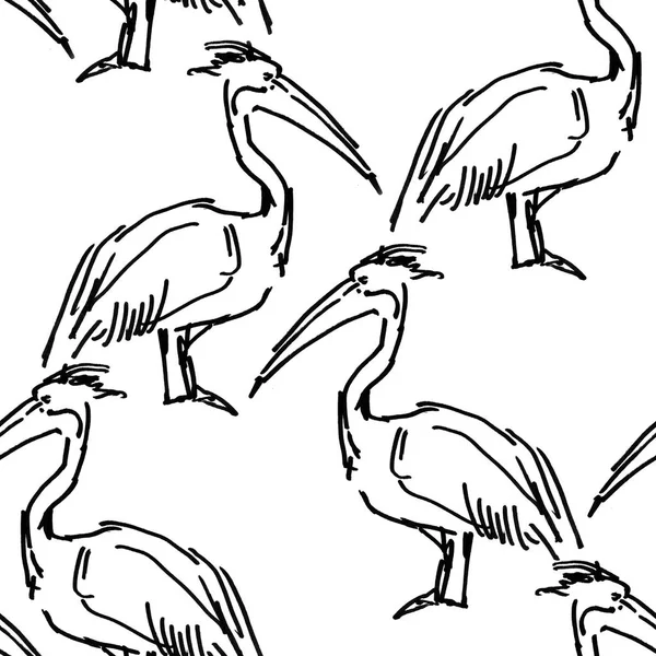 Рисунок из чернил пеликана на белом фоне — стоковое фото