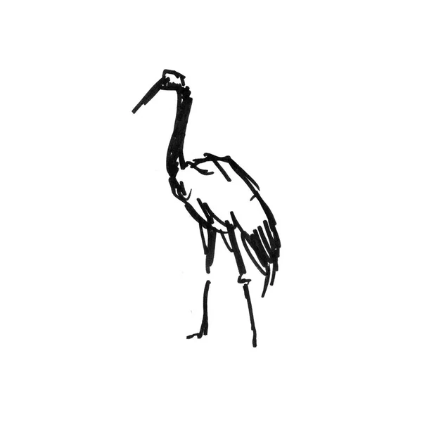 Ooievaar Heron kraan pen schets geïsoleerd op witte achtergrond — Stockfoto