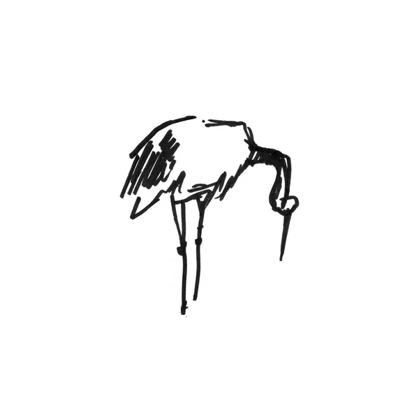 Beyaz arka plan üzerinde izole kalem kroki leylek Heron vinç — Stok fotoğraf