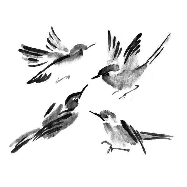 Sumi-e inkoust kolekce ptáků. Malba akvarel — Stock fotografie