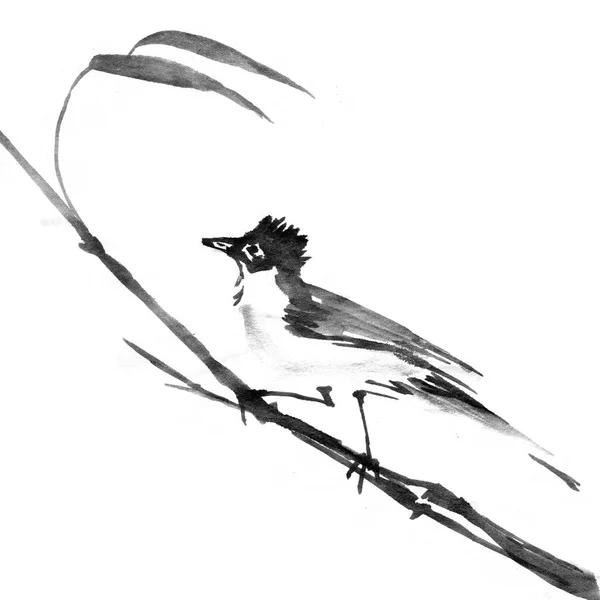 Sumi-e ink bird on a branch. Watercolor painting, black isolated white background. — Stock Photo, Image