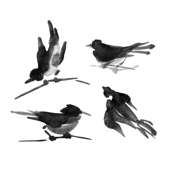 Sumi-e colección de tinta de aves. Pintura acuarela . — Foto de Stock