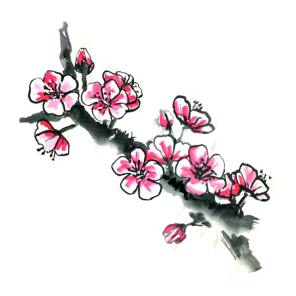 Chinois sakura Japonais prunier fleur grunge printemps sumi-e — Photo