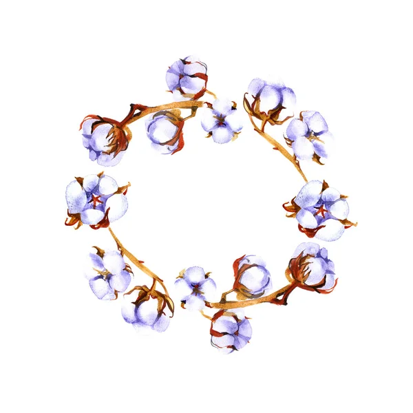 Corona, marco de círculo con las ramas de flores de algodón, mano dibujada en un blanco — Foto de Stock