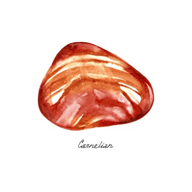 Beyaz zemin üzerine suluboya taş Carnelian. Elle çizilmiş illüstrasyon