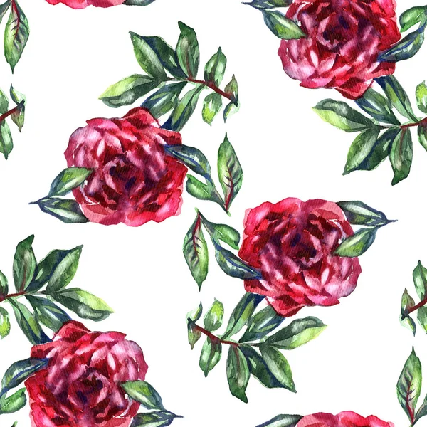 Pattern with watercolor realistic rose, peony and butterflies. Illustration. — Stock Photo, Image