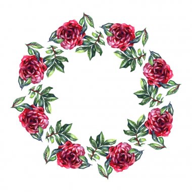 Gül çiçek çelenk. Çiçek daire sınır. Beyaz arka plan üzerine suluboya