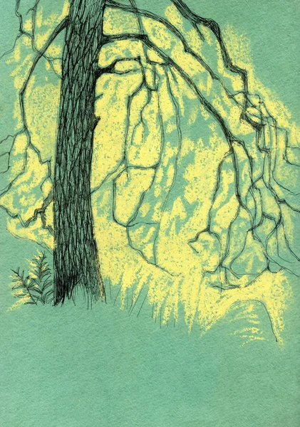 Stylized summer tree. Sketch on green background. — Stock Photo, Image