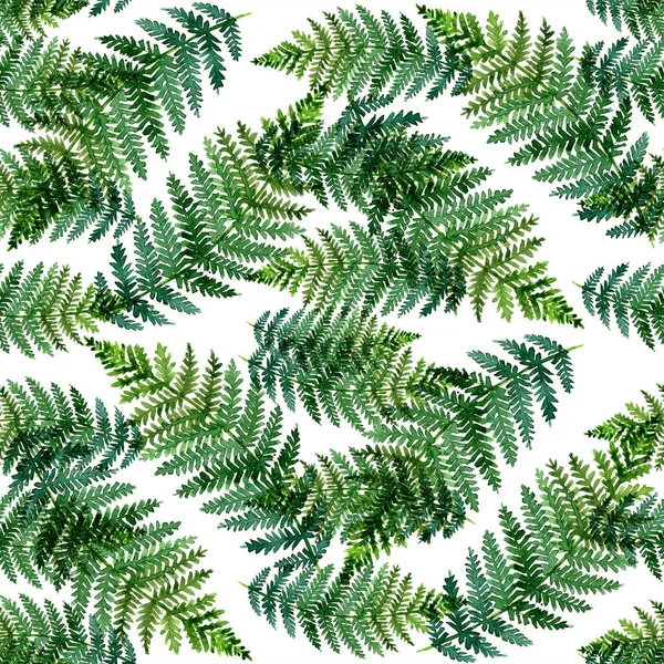 Trópusi akvarell absztrakt mintával páfrány levelek — Stock Fotó