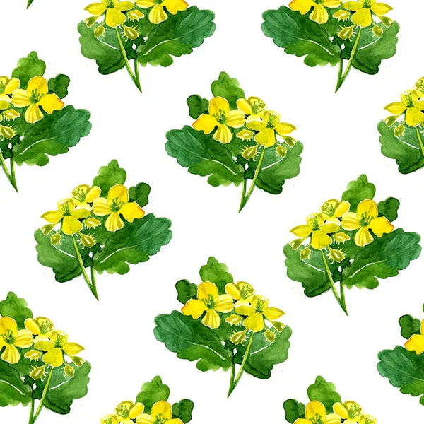 Aquarel naadloze patroon met stinkende gouwe bloemen en takken. Achtergrond — Stockfoto
