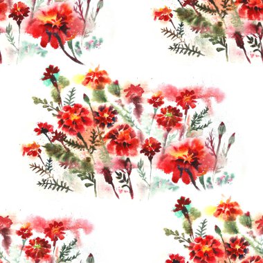 Kadife çiçeği çiçek beyaz zemin üzerine çiçek seamless modeli. Suluboya.