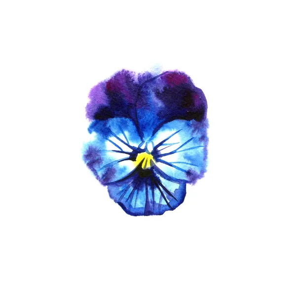 Bela aquarela Pansy, ilustração desenhada à mão para o seu design . — Fotografia de Stock