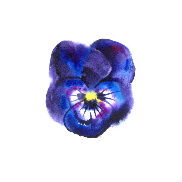 Beautiful watercolor Pansy, hand-drawn illustration for your design. — Stock Photo, Image