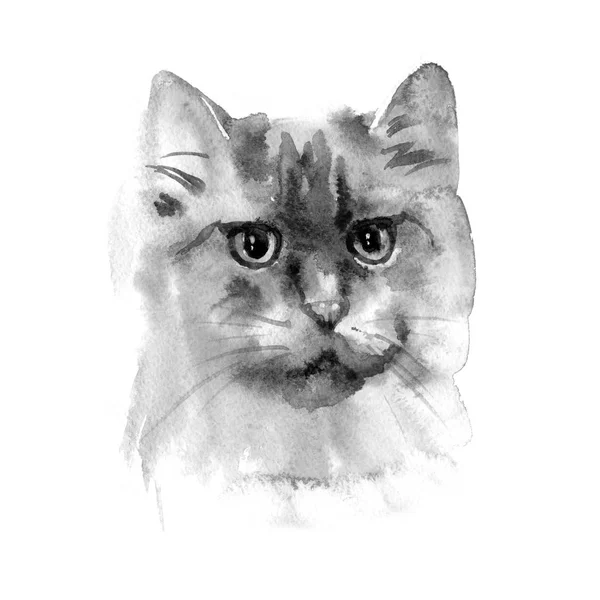 Acuarela dibujada a mano gato persa. Ideal para tarjetas postales, etiquetas de regalo y otras cosas impresas . — Foto de Stock