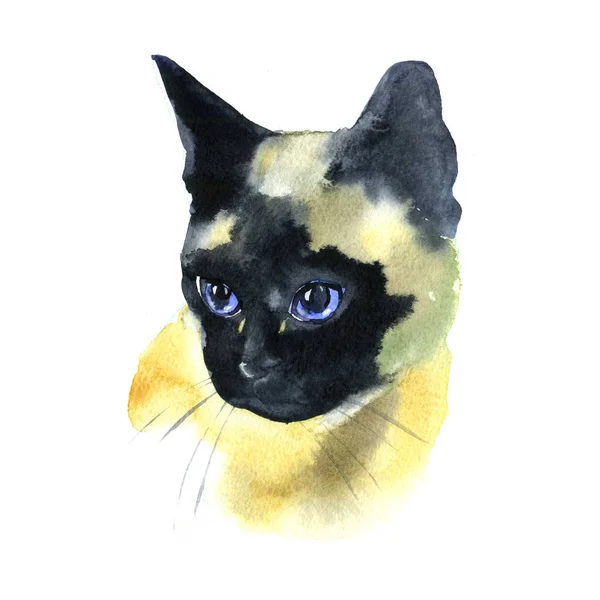 Akvarell Sziámi macska kézzel készült Pet portré illusztráció elszigetelt fehér — Stock Fotó