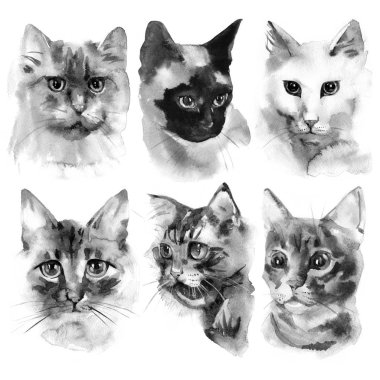 Sulu Boya Kara kediler Portreler koleksiyonu el çekilmiş