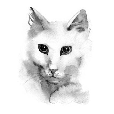 Suluboya fotogerçekçi illüstrasyon - beyaz kedi