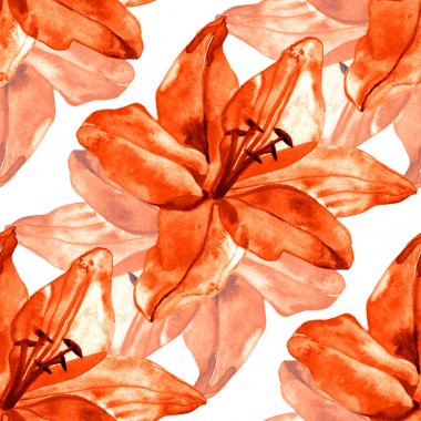 Beyaz arka plan üzerinde renkli lilyum çiçek ile Seamless modeli. düğün davetiyeleri ve tebrik kartı tasarımı için çiçek çiçek açan kümesi.