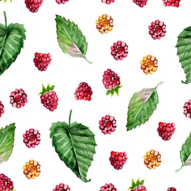 Ahududu boyalı suluboya deseni. Meyve seamless modeli menü ve tatlılar, restoranlar ve kafeler için.