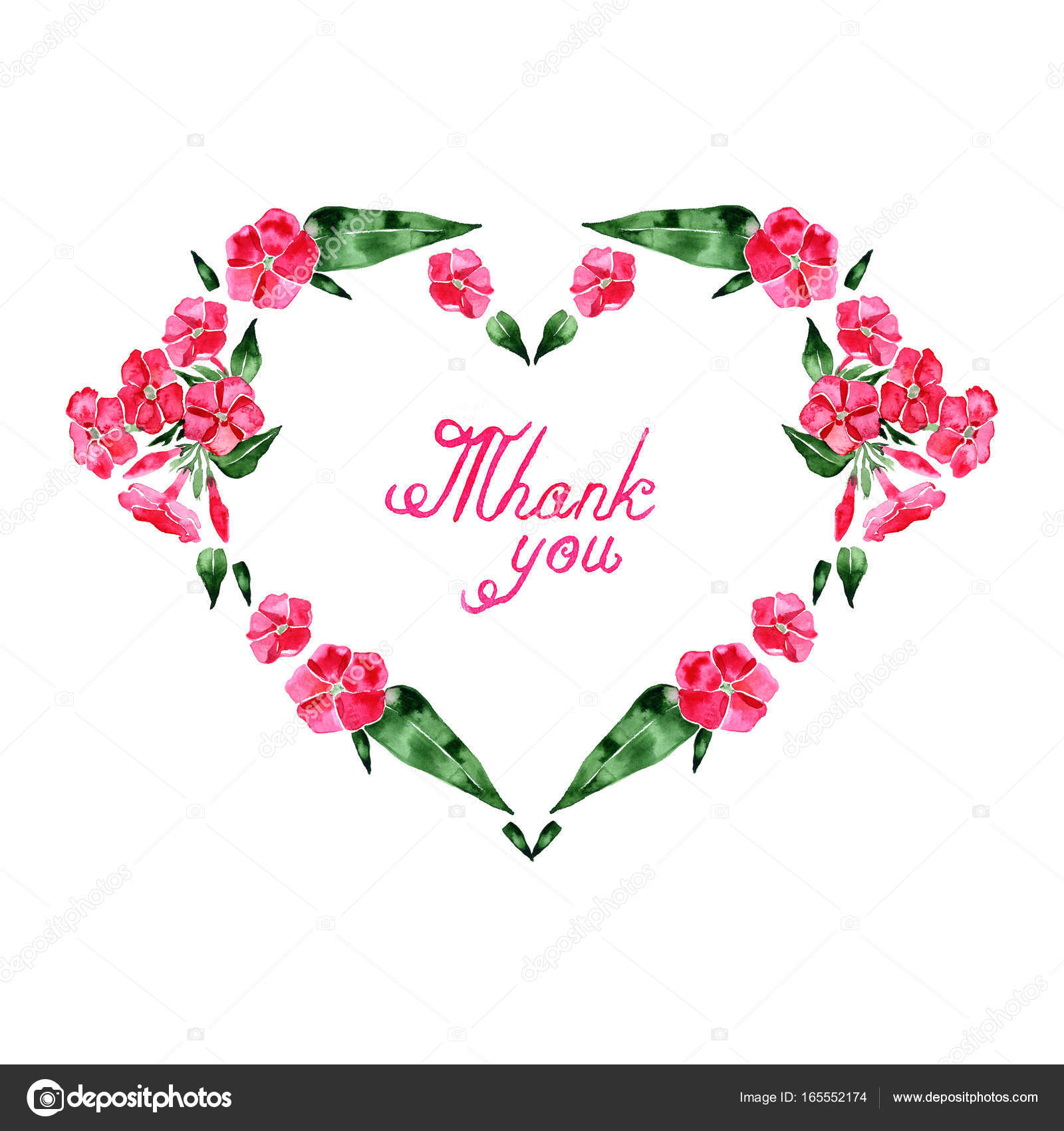 Illustrazione dell acquerello della cornice cuore fiori di Phlox Disegno calligrafico per San Valentino