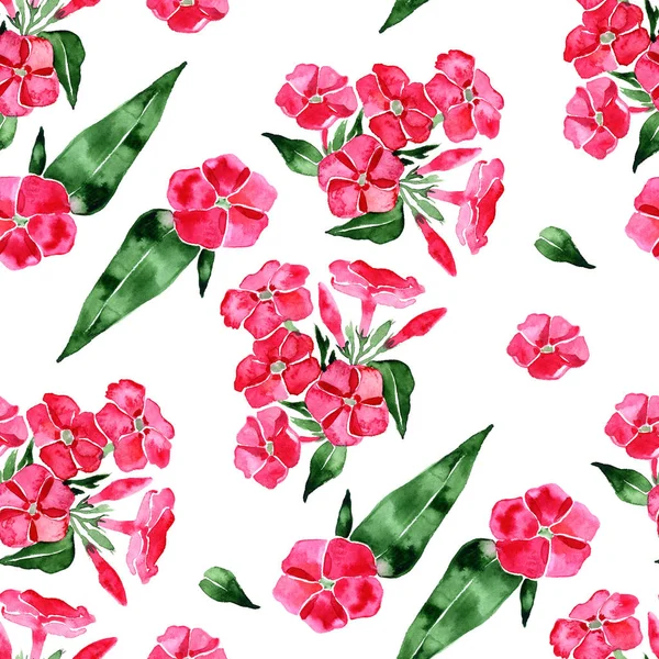 플 록스 꽃 수채화 완벽 한 패턴입니다. 손으로 그린 빈티지 일러스트. — 스톡 사진