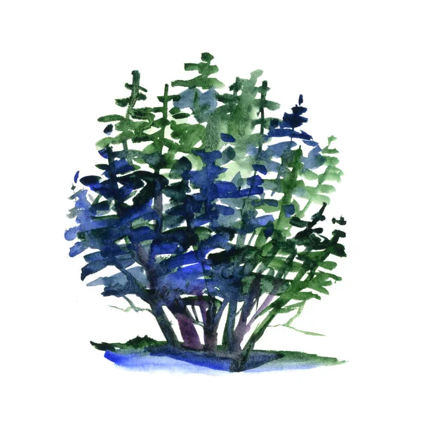 Bush aquarela ilustração desenhada à mão sobre fundo branco — Fotografia de Stock
