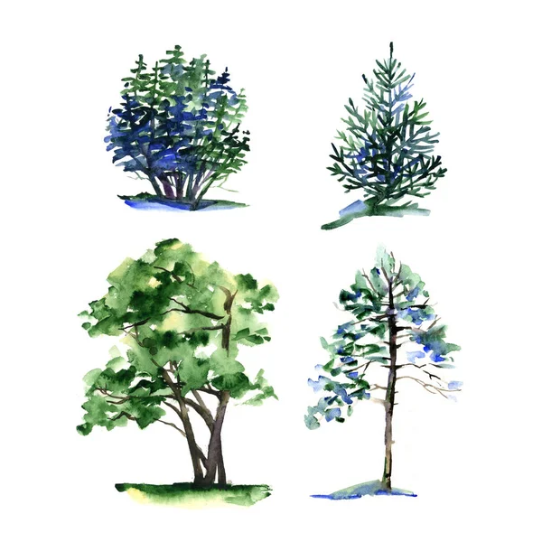 Набір різних типів акварельних дерев . — стокове фото