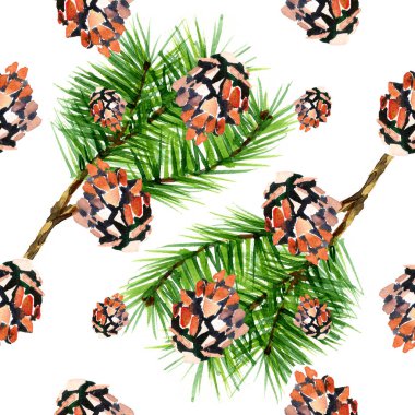 suluboya arka plan çam kozalakları. Beyaz arka plan üzerinde seamless modeli