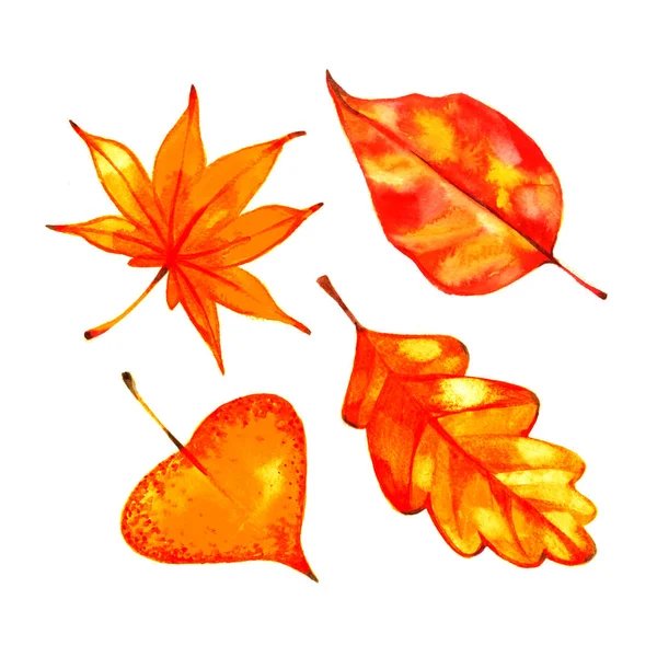 Акварельный набор красивых оранжевых осенних листьев — стоковое фото