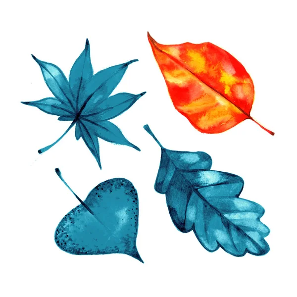Conjunto de aquarela de belas folhas coloridas de outono — Fotografia de Stock