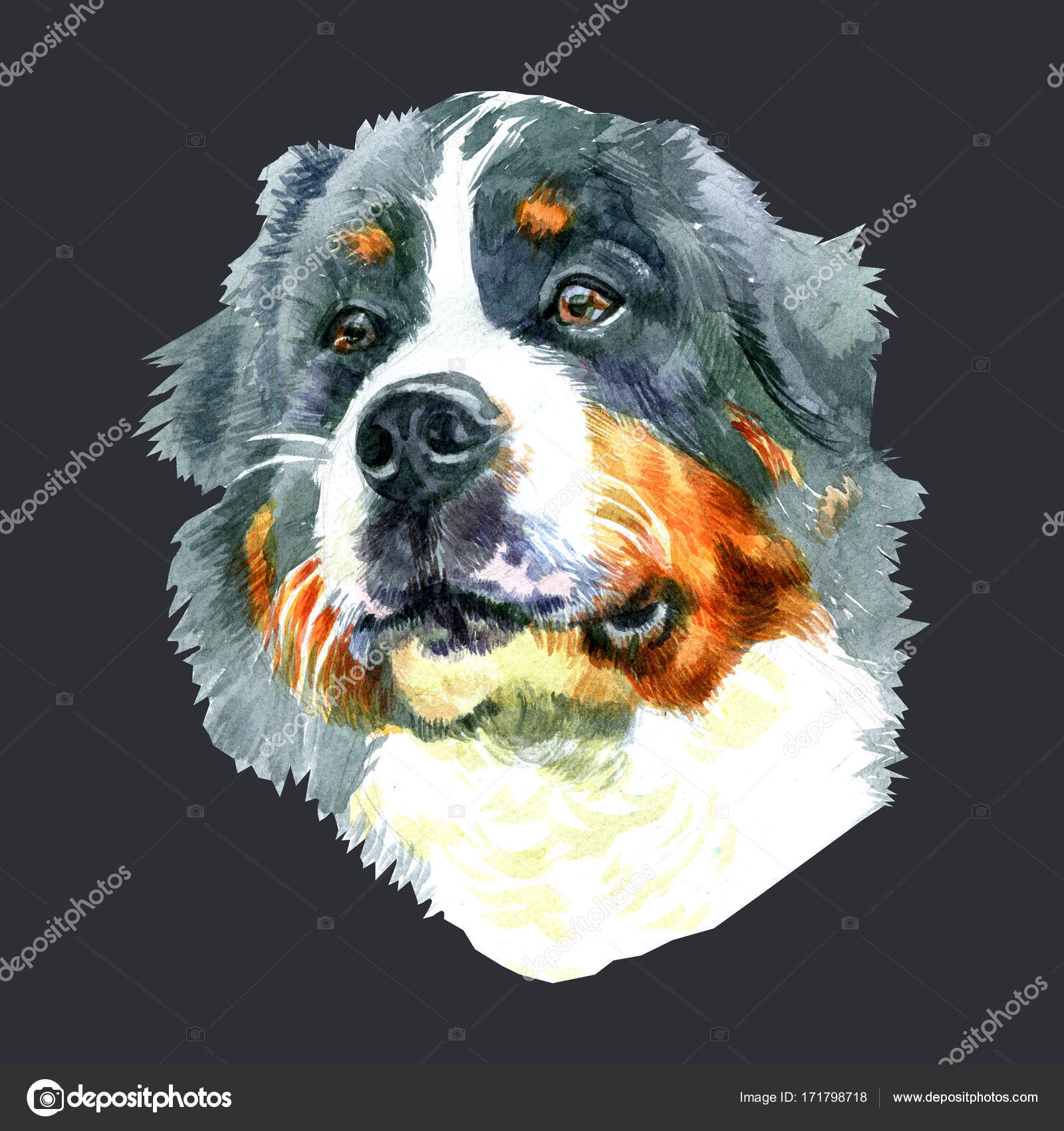 Aquarelle De Closeup Portrait Du Grand Chien De Race Chien