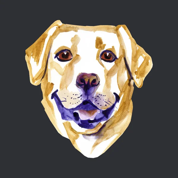 Ilustração aquarela da raça cão amarelo Labrador Retriever . — Fotografia de Stock