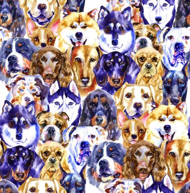 Suluboya resim kümesi köpekler, Dikişsiz desen beyaz arka plan üzerinde izole
