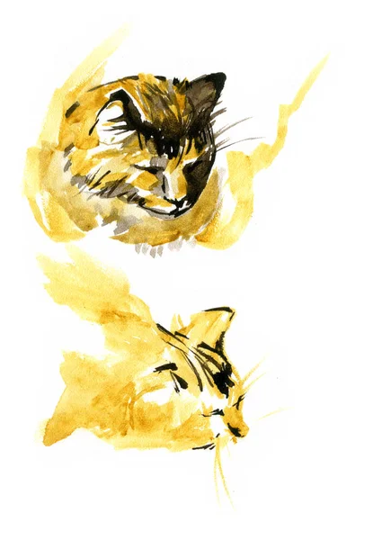 Chats aquarelle mignon sur fond blanc. Ensemble de croquis — Photo