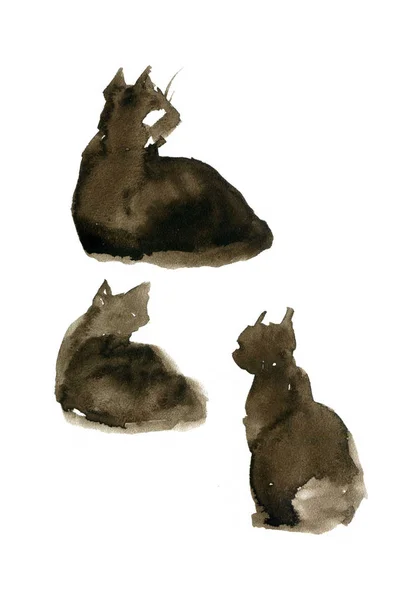 Gatos aquarela bonito no fundo branco. Conjunto de esboços — Fotografia de Stock