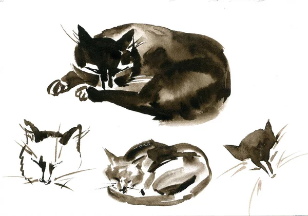 Kucing cat air lucu di latar belakang putih. Set Sketch — Stok Foto