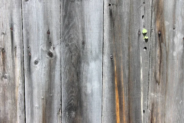 Staré dřevo textury s přírodními vzory, šedá, tmavě hnědá — Stock fotografie