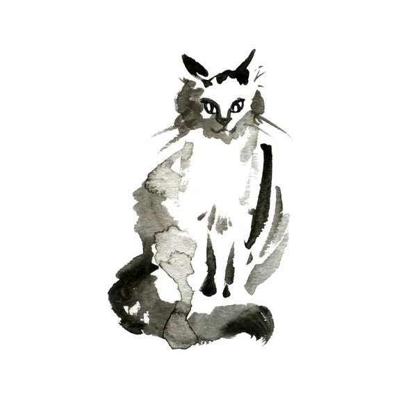 Grafica dipinta a mano inchiostro acquerello gatto isolato su sfondo bianco — Foto Stock
