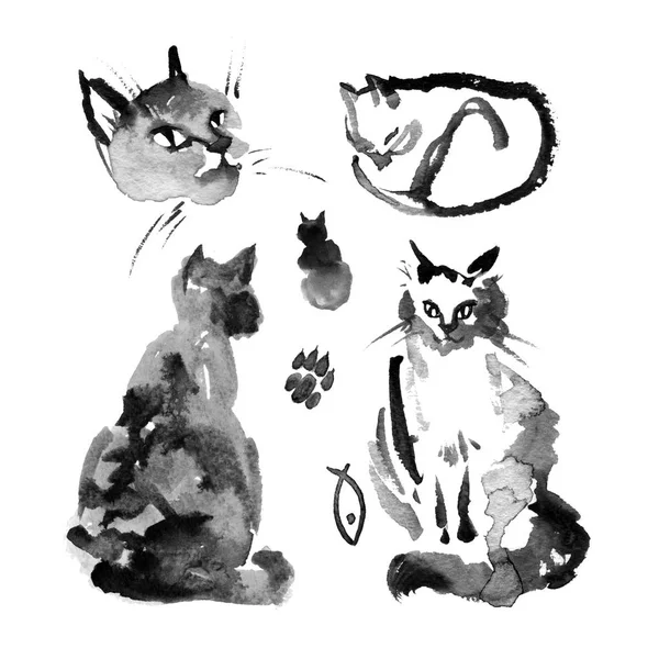 Nasse bis nasse Aquarell-Tusche-Illustration der flauschigen sibirischen Katze auf weißem Hintergrund. Sammlung von niedlichen Katzen in verschiedenen Posen — Stockfoto