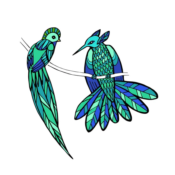 Vecteur dessiné à la main oiseaux tropicaux. Illustration vectorielle. Bleu, vert, turquoise, menthe, néon . — Image vectorielle