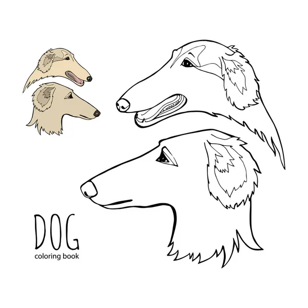 Borzoi ruso. Perros de raza de caza. Libro para colorear página. Ilustración vectorial. Logo vectorial de raza pura — Archivo Imágenes Vectoriales