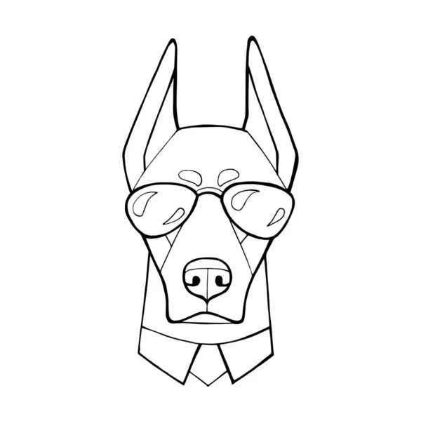 Pes Doberman s tmavými brýlemi. Vektorová ilustrace. Omalovánky. Humor plakát, kompozice trička, ručně kreslený styl tisku. — Stockový vektor