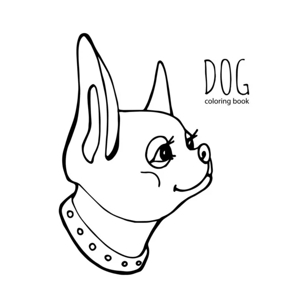 The vector of chihuahua that looking back at something. Coloring book page. Vector hand draw dog illustration. — Stock Vector