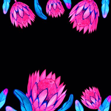 Bir çerçevenin suluboya çizimi izole edilmiş, egzotik pembe çiçek Protea çiçeği Avustralya, çiçekli klasik çerçeve resimli suluboya. Neon ormanı.
