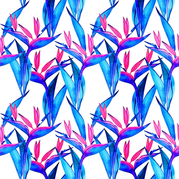 楽園の花のパターンのシームレスな鳥。手はstrelitziaの水彩エキゾチックな花を描きました。テキスタイルデザイン。挨拶、招待状、包装紙、織物、ウェブデザインに最適です。. — ストック写真